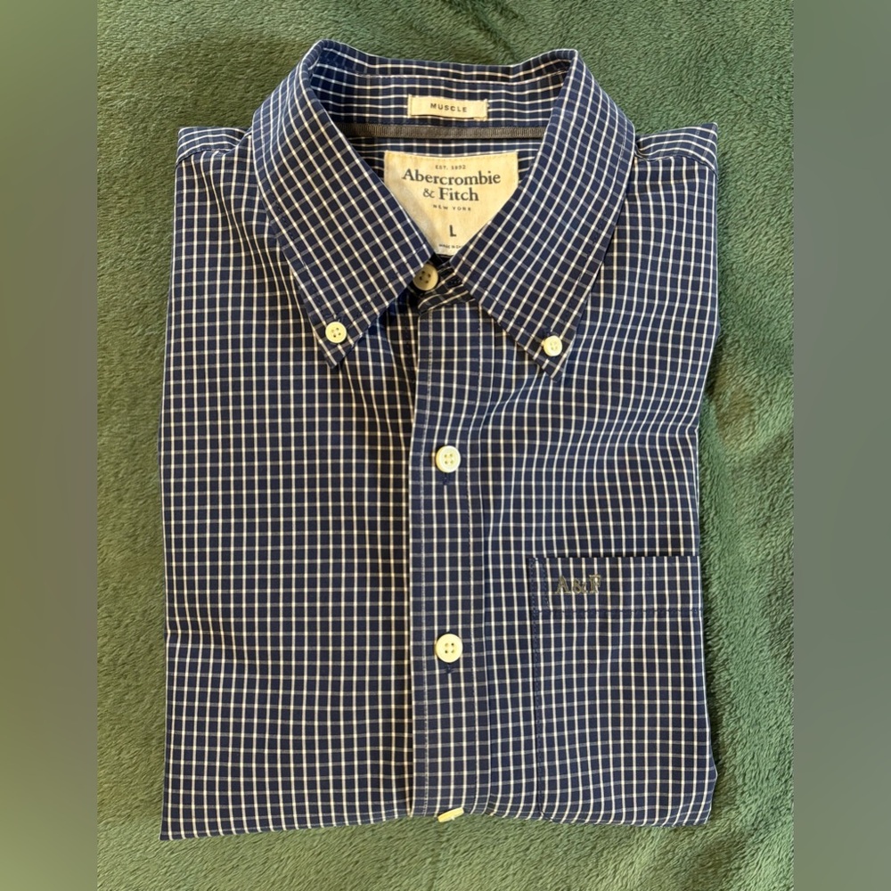 Abercrombie & Fitch Navy and White Check Button-Down Shirt